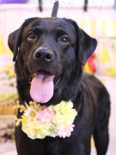 20240419フックくん